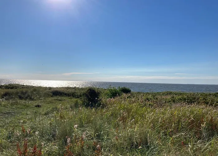 Bjalumvej 17, Nymindegab, 6830 Vakantiehuis Nørre Nebel